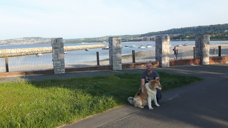 Toffee the Akita in Colwyn Bay 1