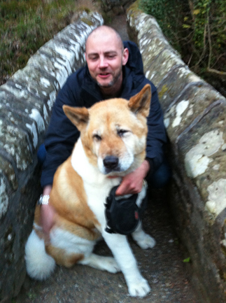 Toffee the Akita Edale bridge together
